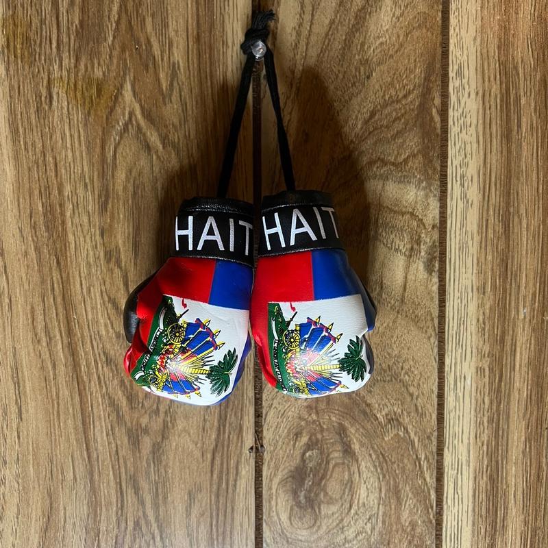 Haitian flag  Boxing Gloves